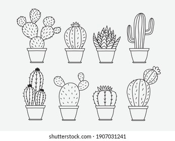 cactus and succulent in pot simple line art vector set  