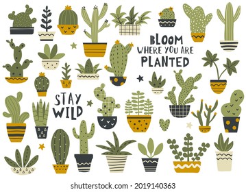 Cactus and succulent set with calligraphy quotes, houseplant collection. Hand drawn vector illustration.