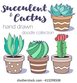 Cactus and succulent set; doodle colorful flowers in pots isolated on white background; hand drawn green cacti, succulents and pots in sketch style; 