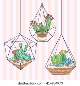 Cactus and succulent set with geometrical terrarium; doodle colorful flowers in pots and glass jars; hand drawn green cacti, succulents in sketch style; 