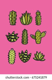 Cactus and succulent set. Vector illustration.