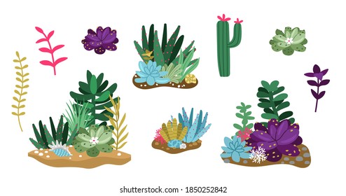 Cactus and succulent. Terrarium or florarium compositions. Flowers, plants and greenhouse decorative elements vector set