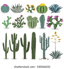 Cactus and succulent vector set. Cactuses, agave, and opuntia