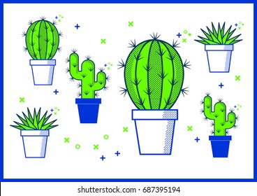 cactus/ succulent vector/illustration