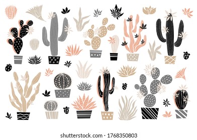 Cactus succulent wild rose flowers tender pink brown pastel color watercolor. Home plants beautiful cacti succulents collection. Hand drawn vector illustration