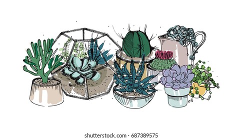 Cactus and succulents composition. Collection plants in pots, florarium. Colorful vector hand drawn illustration in sketch style, isolated on white background.