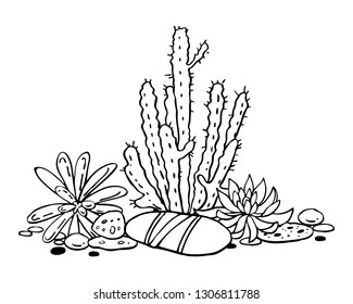 Cactus and succulents composition. Vector hand drawn outline black and white sketch illustration isolated on white background