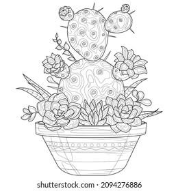 Cactus y suculentos en una olla de flores.Antiestrés para libros colorantes para niños y adultos. Ilustración aislada sobre fondo blanco. Estilo zenano-margino. Dibujo manual