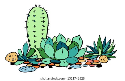 Cactus and succulents group. Vector hand drawn outline color sketch illustration isolated on white background