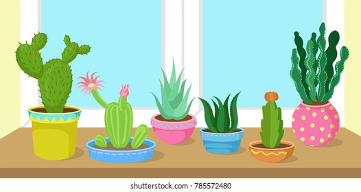 Cactus and succulents home plants in pots on window vector Illustration