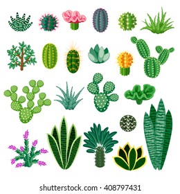 Cactus and succulents. Indoor plants isolated on white background. Big set of indoor plants in a cartoon style. Vector illustration.