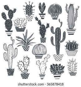 Cactus and succulents isolated on white background. Vector,  hand drawn set illustration.