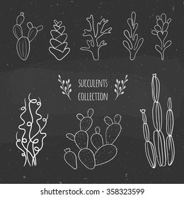 cactus and succulents on a chalkboard, vector floral illustration in black and white colors