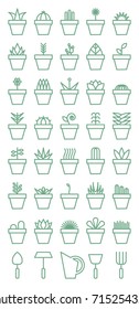 cactus, succulents and other plants in pots