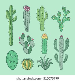 Cactus and succulents outline hand drawn illustration