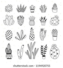 Cactus and succulents outline illustrations. Cute home plants collection