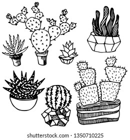 Cactus and succulents outlines. A variety of outlined cactuses and succulents with flowers, spines and without.Cactus isolated on white background with flowers, spines and without. Vector, hand drawn 
