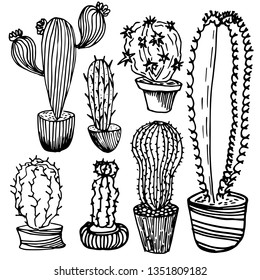 Cactus and succulents outlines. A variety of outlined cactuses and succulents with flowers, spines and without.Cactus isolated on white background with flowers, spines and without. Vector, hand drawn 