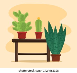 Cactus succulents plant pots on table cartoons vector illustration graphic design