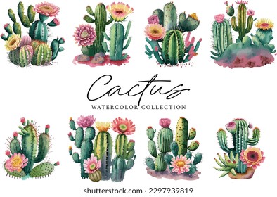 Cactus succulents plants Watercolor collection on white background
