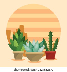 Cactus succulents in pot on desertscape round icon vector illustration graphic design