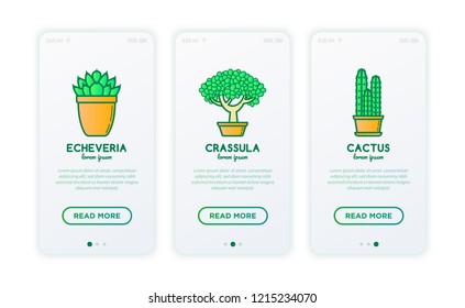 Cactus and succulents in pots thin line icons set. Modern vector illustration for mobile user interface.