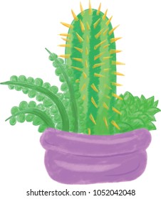 Cactus and Succulents in Pots Vector Illustrations