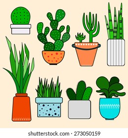 Cactus and succulents set. Hand drawing plants in the pots.