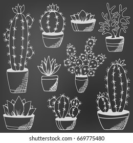 Cactus and succulents set on chalkboard. Hand drawn plants in flower pots. Black and white echeveria, rosula, aloe vera. Design for book, magazine, web, card. Vector illustration