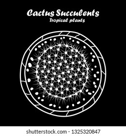 Cactus and succulents tropical plants in pot plant on black background, top view vintage vector. hand drawing.