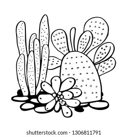 Cactus and succulents. Vector hand drawn outline black and white sketch illustration isolated on white background