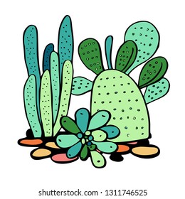 Cactus and succulents. Vector hand drawn outline color sketch illustration isolated on white background