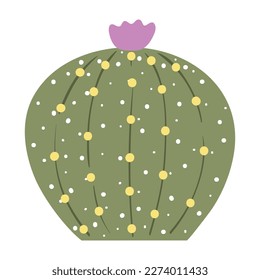 Cactus and succulents, vector illustration in flat style