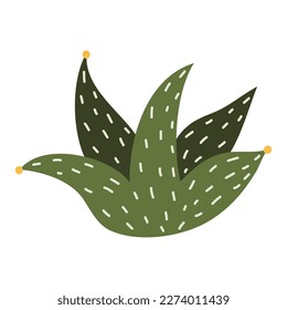 Cactus y suculentos, ilustraciones vectoriales en forma plana