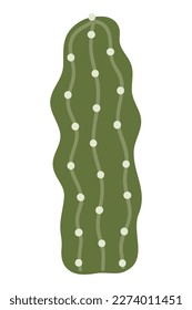 Cactus and succulents, vector illustration in flat style