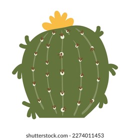 Cactus and succulents, vector illustration in flat style