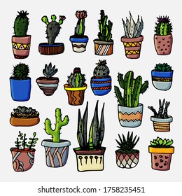 Cactus and succulents vector set. Hand drawn illustration. Tropical plants. Botanical graphic design. Stickers.