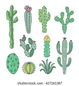 Cactus and succulents vector set. Hand drawn cacti illustration