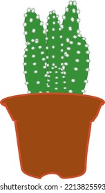 vector de dibujo de los pantalones de verano de cactus 