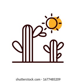Cactus and sun half line half color style icon design, Plant desert nature tropical summer mexico and western theme Vector illustration