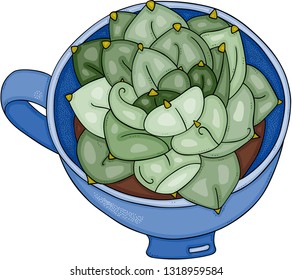 Cactus in tea cup
