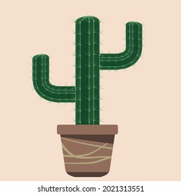 Cactus in terracotta pots . Boho art style . Vector illustration