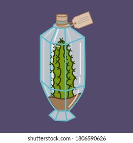 Cactus Terrarium in Glass Illustration Vector