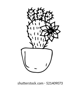 Cactus texture. Cactus color.Cactus interiors. Cactus banner.Cactus poster.Cactus cartoon.Cactus mexico.Cactus.
