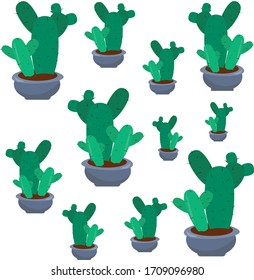 Cactus texture. Green cacti background. Tropical natural pattern. Plant in the pot.