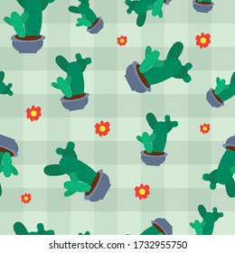 Cactus texture. Green cacti background. Tropical natural pattern. Plant in the pot.