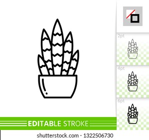 Cactus thin line icon. Aloe banner in flat style. Succulent poster. Linear pictogram. Houseplant simple illustration, outline symbol. Vector sign isolated on white. Editable stroke icons without fill