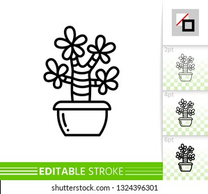 Cactus thin line icon. Succulent banner in flat style. Houseplant poster. Linear pictogram. Cacti Simple illustration, outline symbol. Vector sign isolated on white. Editable stroke icons without fill