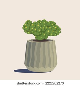 A cactus with thorns in a cylindrical pot of olive color ribbed. Interior design element, vector isolated.