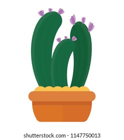
A cactus with thorns and flowers denoting potted pilosocereus 
